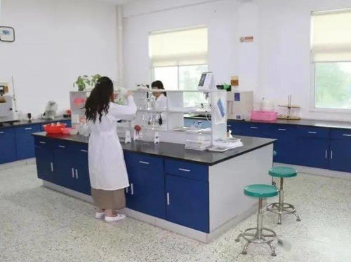 環(huán)保設施云開放丨云游潮州市第一污水處理廠 揭秘污水變清流環(huán)保咨詢服務