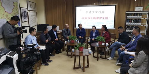 大同長城保護條例 文化沙龍第三期共獻良策，藝術活動策劃為保護賦能